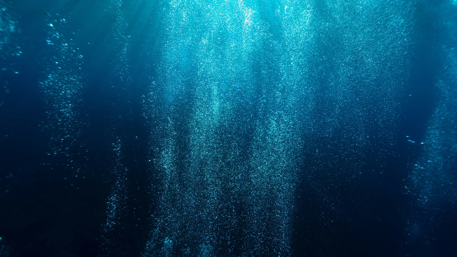 blue ocean stretagy