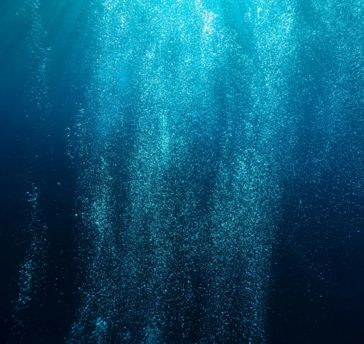 blue ocean stretagy